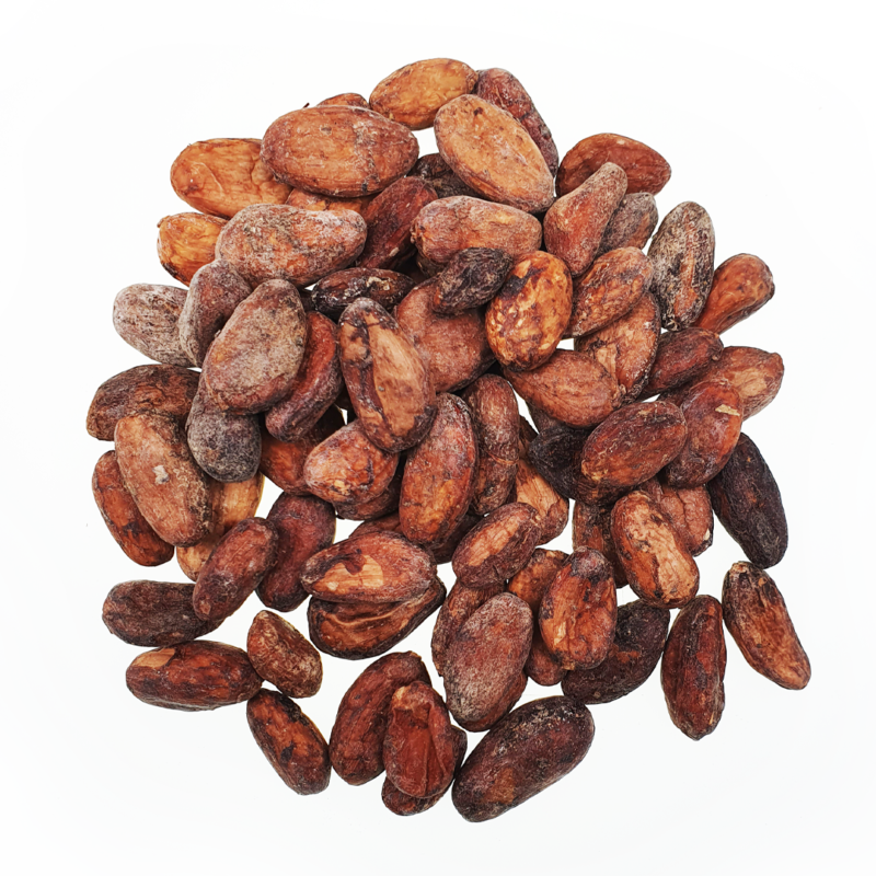 ziarno-kakaowca-ekwador Ekwador Nacional Arriba Zoilita