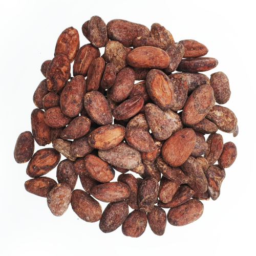 Surowe ziarna kakaowca Wenezuela Sur del Lago