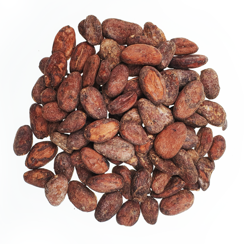 Surowe ziarna kakaowca Wenezuela Sur del Lago Surowe ziarna kakaowca Wenezuela Sur del Lago